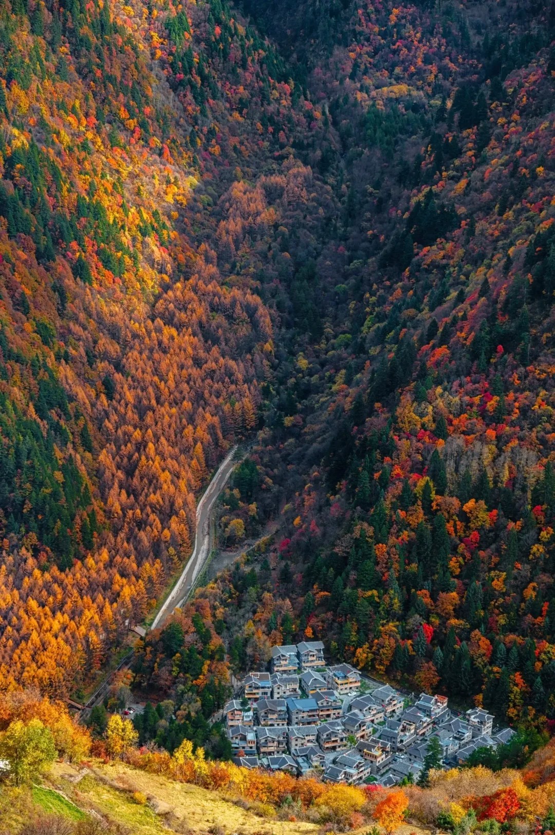 _6_最近的遥远_川西黑水县-来自52tours 我爱旅游网